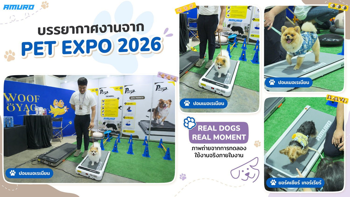 678de09d3aa13c4024ca215a_treadmill-amuro-w50-04_1787049732474.jpg Supersports Thailand