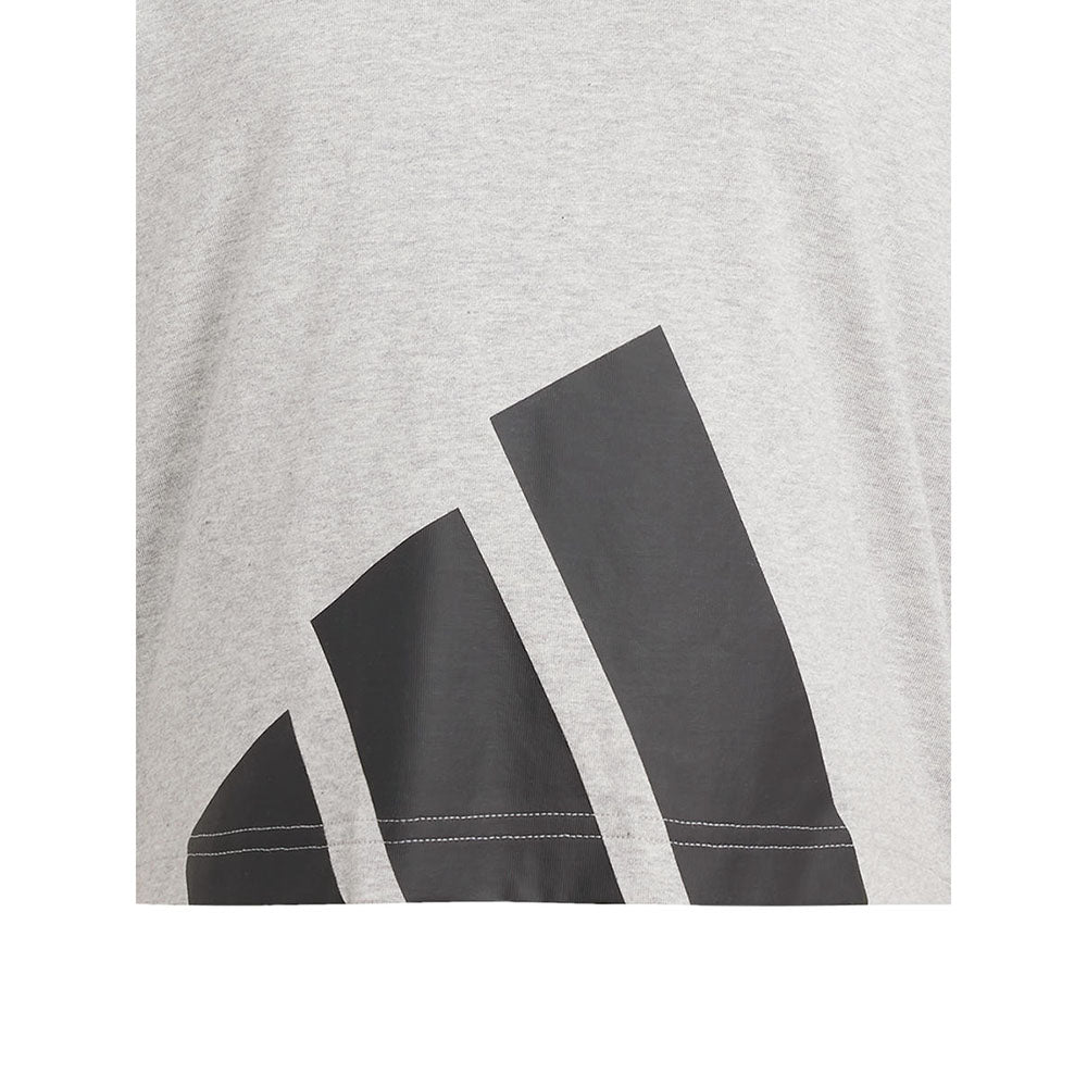 ADIDAS Essentials Big Logo Boyfriend Women's T-Shirt