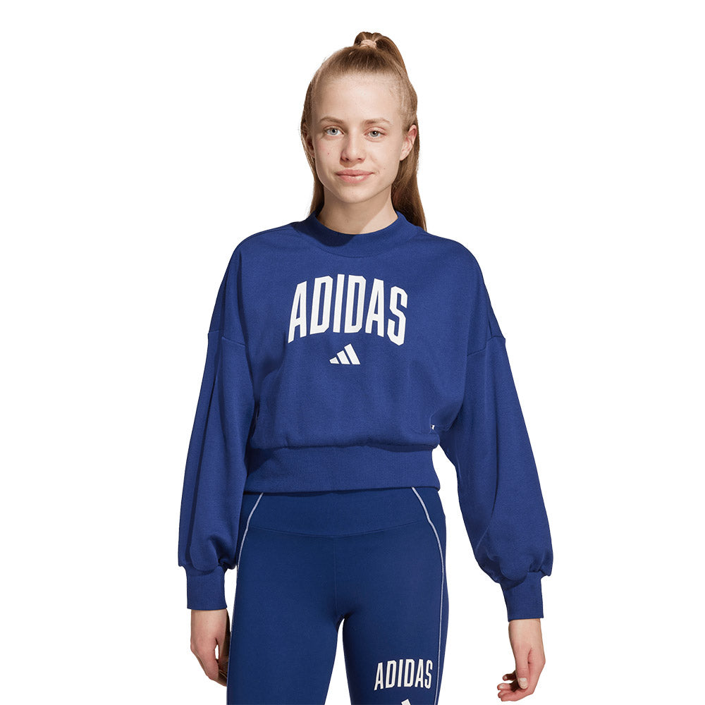 ADIDAS Seasonals Essentials Collegiate Typography Kids Sweatshirt