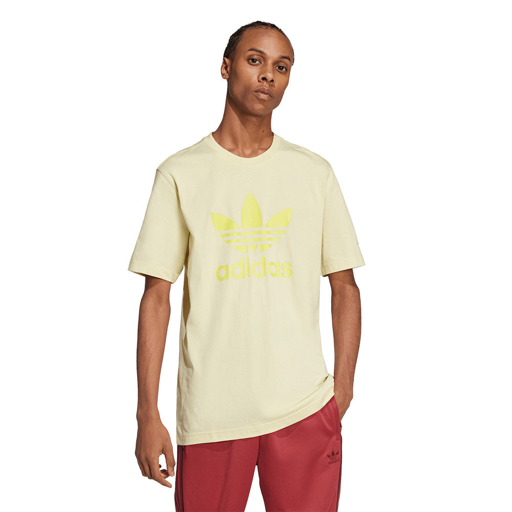 ADIDAS ORIGINALS Adicolor Trefoil เสื้อยืดผู้ชาย