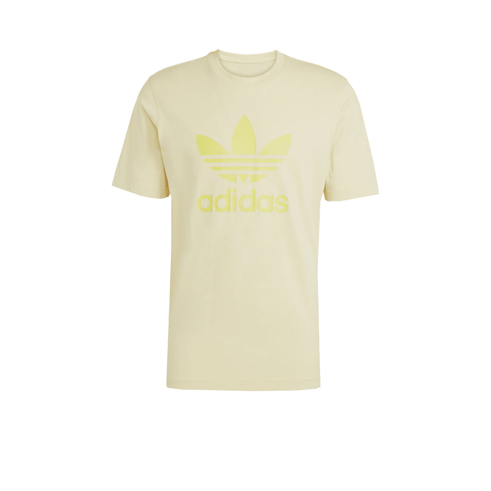 ADIDAS ORIGINALS Adicolor Trefoil เสื้อยืดผู้ชาย