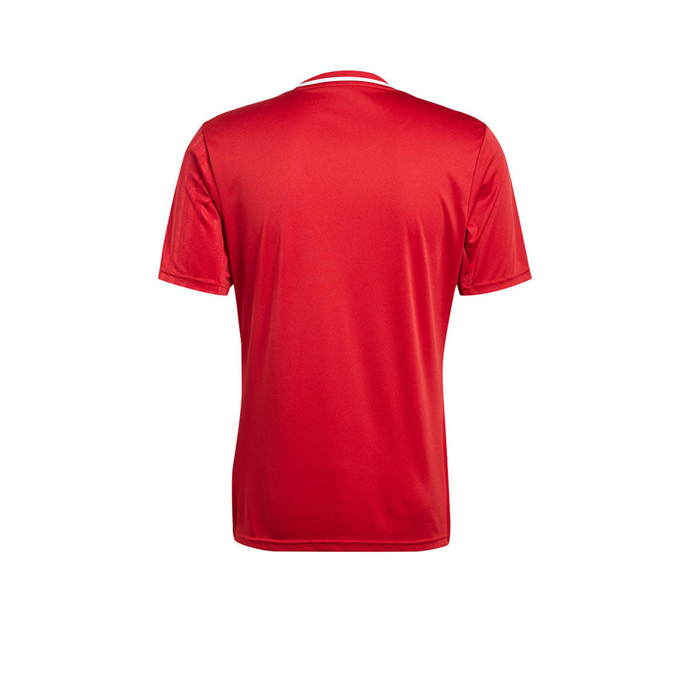 ADIDAS Campeon 2025 เสื้อฟุตบอลผู้ชาย