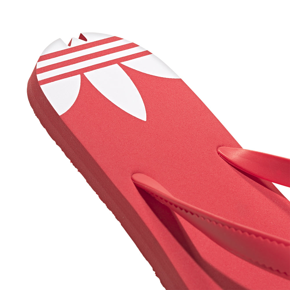 ADIDAS ORIGINALS Adi Sun Thongs Women's Sandals - Supersports Thailand Supersports Thailand