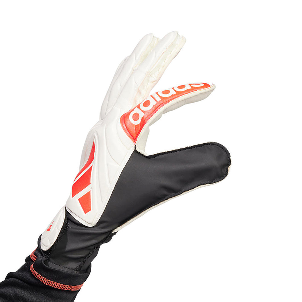 ADIDAS Copa Club Men's Goalkeeper Gloves - Supersports Thailand Supersports Thailand