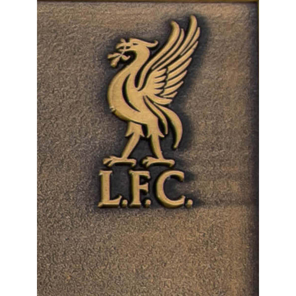 LIVERPOOL FOOTBALL CLUB Champions League Final 2019 ตั๋วสะสม