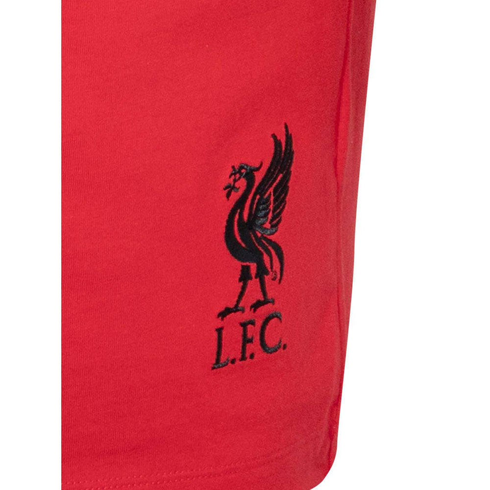 LFC Chinese New Year 2025 Liverbird Men's T-Shirt - Supersports Thailand Supersports Thailand
