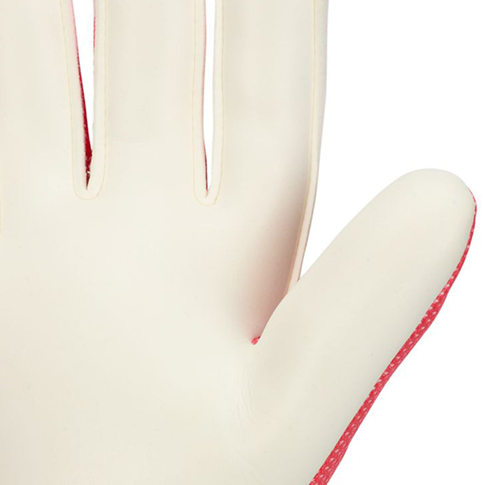 NIKE Match Men's Goalkeeper Gloves
