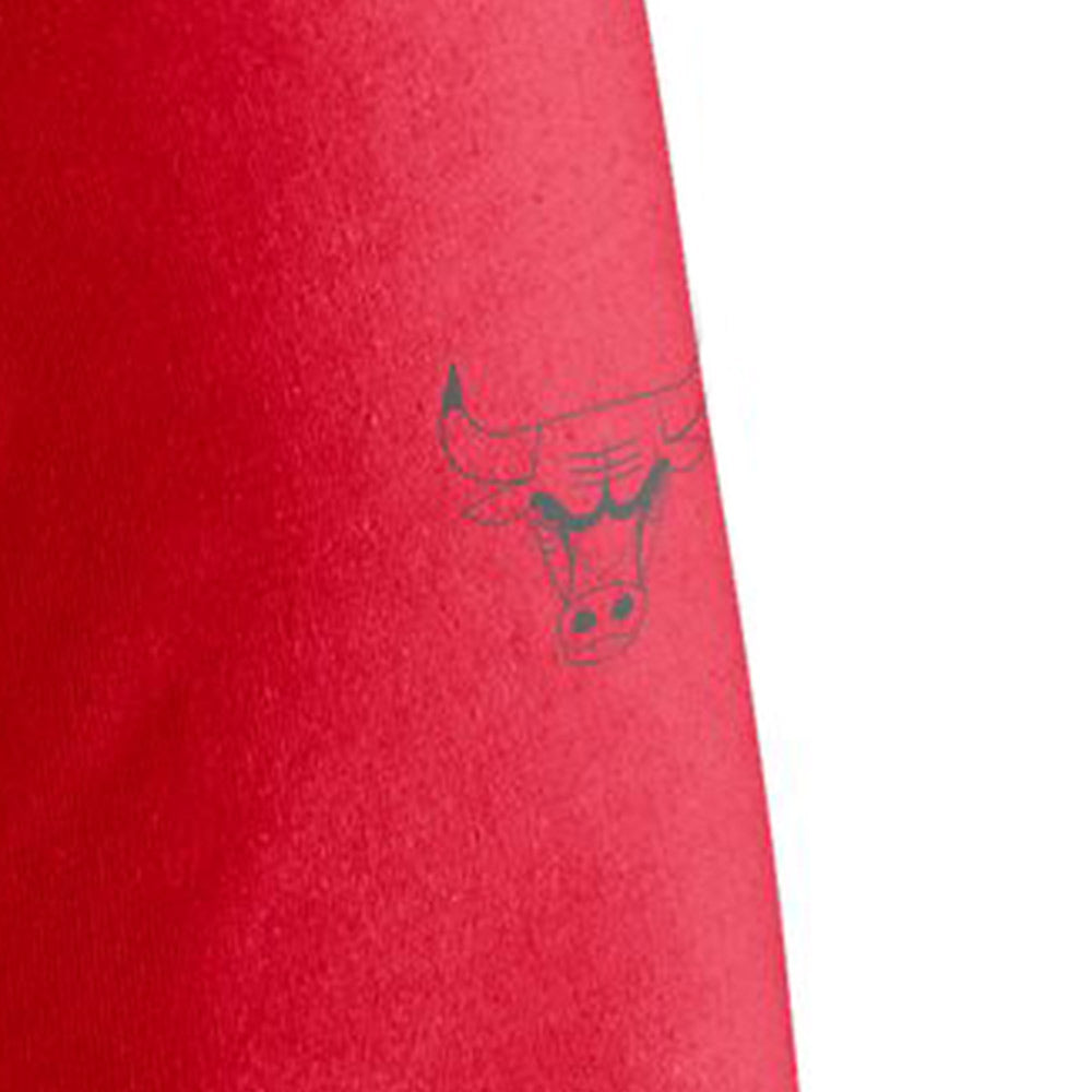 NIKE Chicago Bulls Essential Jordan NBA Men's T-Shirt