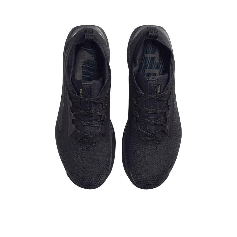 NIKE Pegasus Trail 5 GORE-TEX รองเท้าวิ่งเทรลผู้ชาย