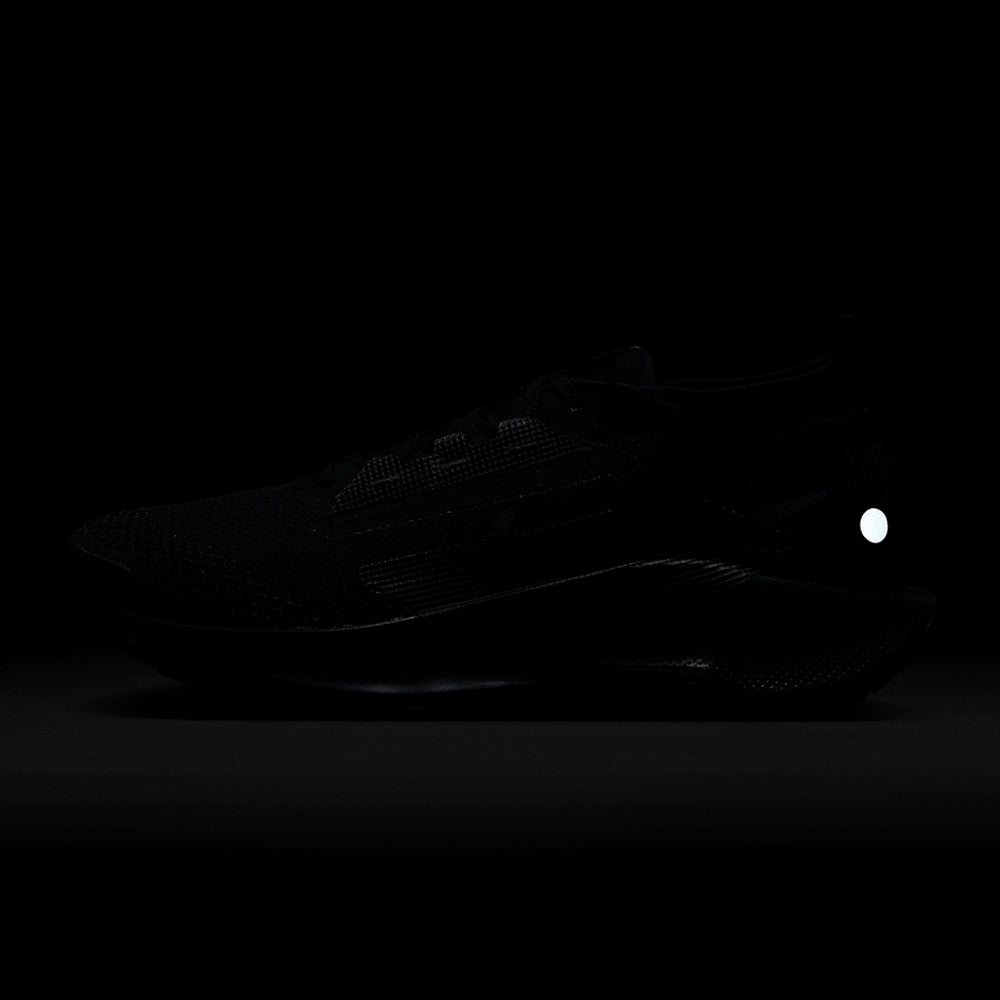 NIKE Pegasus Trail 5 GORE-TEX รองเท้าวิ่งเทรลผู้ชาย
