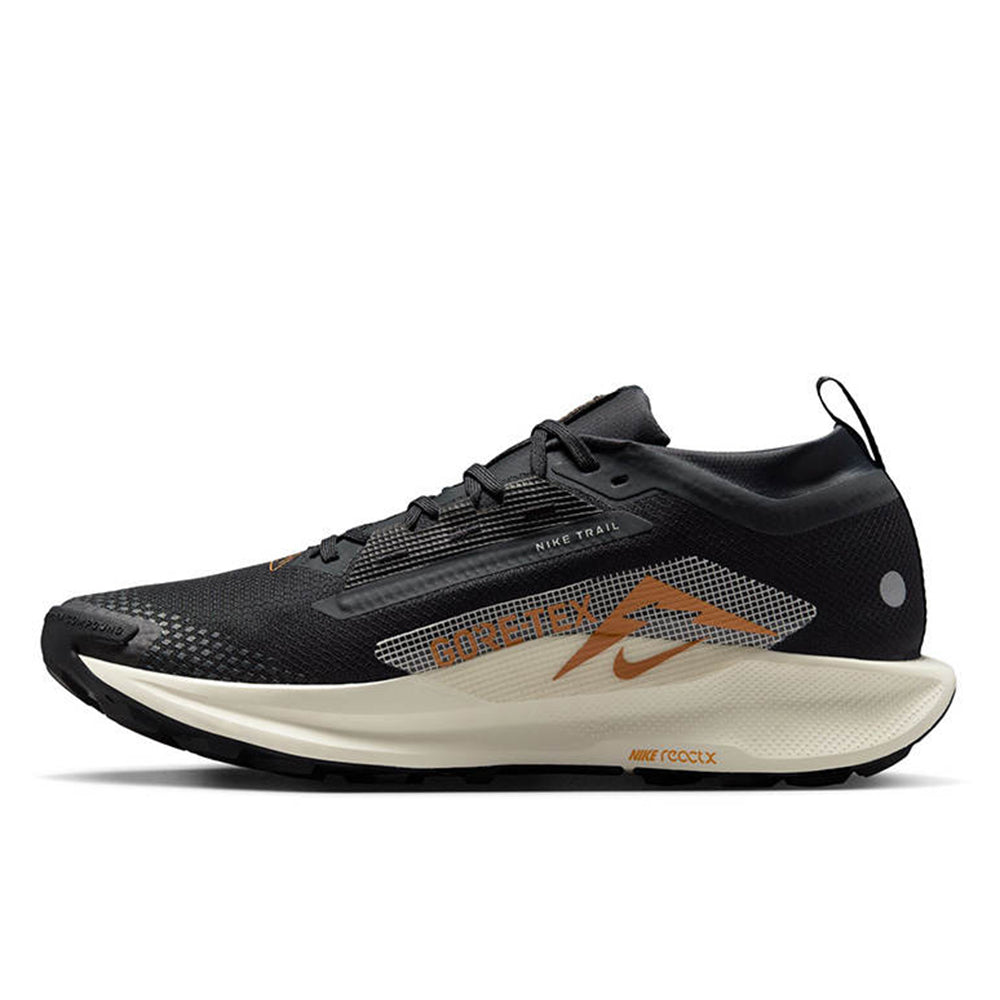 NIKE Pegasus Trail 5 GORE-TEX รองเท้าวิ่งเทรลผู้ชาย