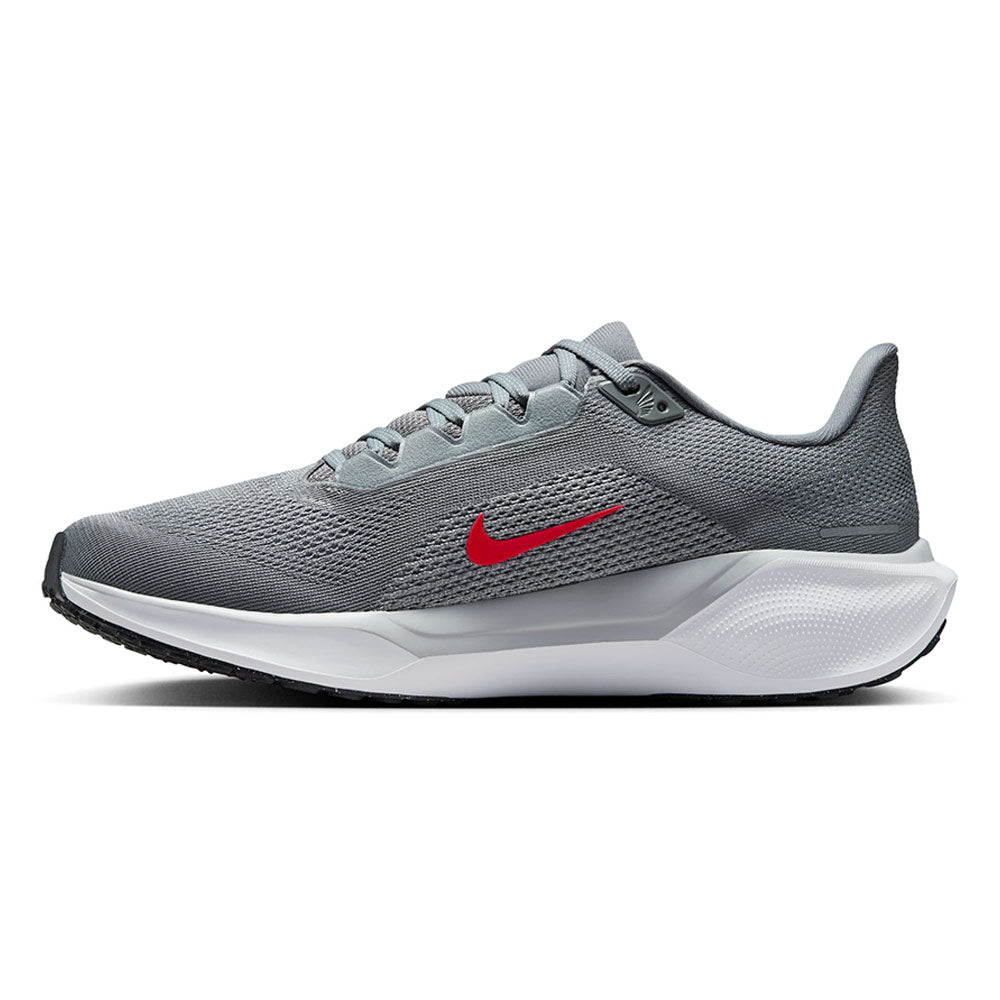 NIKE Pegasus 41 Men's Running Shoes