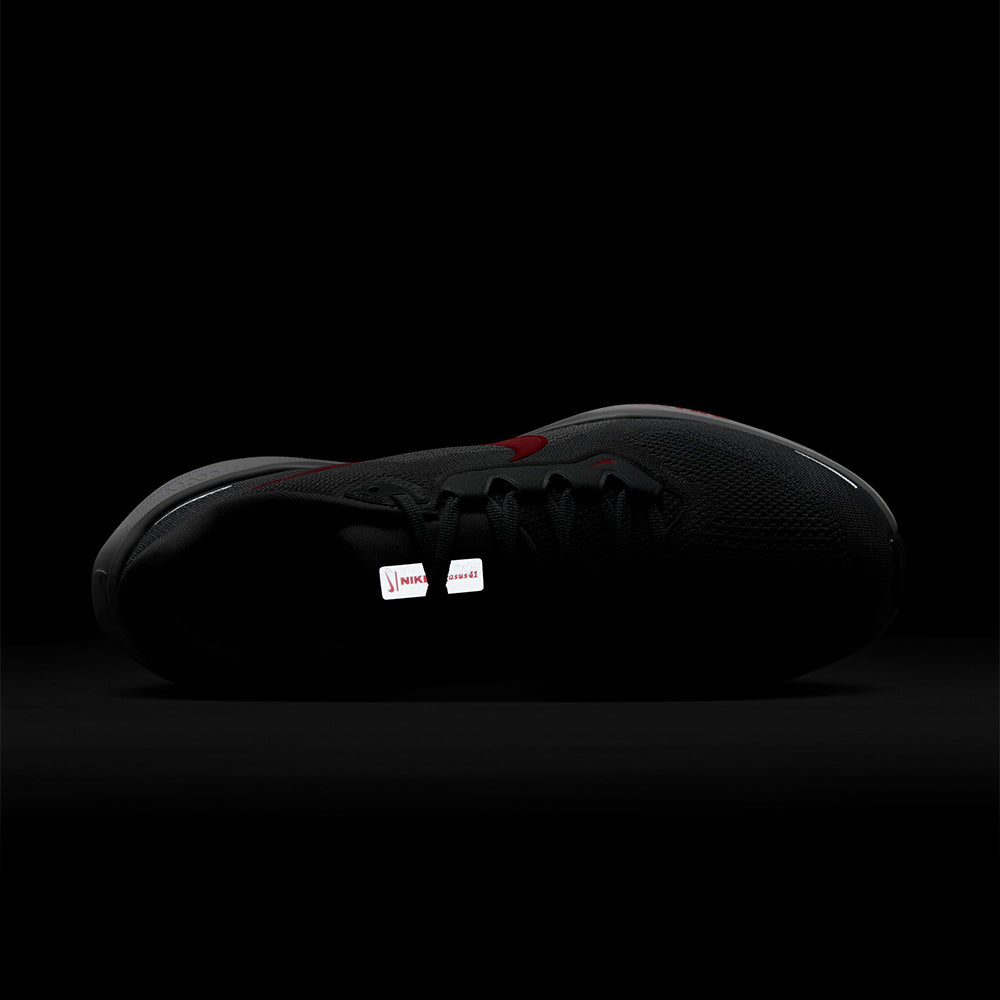 NIKE Pegasus 41 รองเท้าวิ่งผู้ชาย