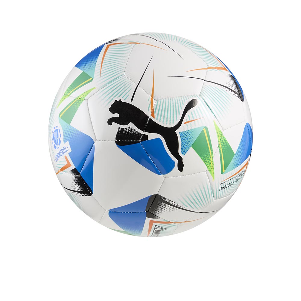 PUMA Cumbre Conmebol Libertadores ลูกฟุตบอล