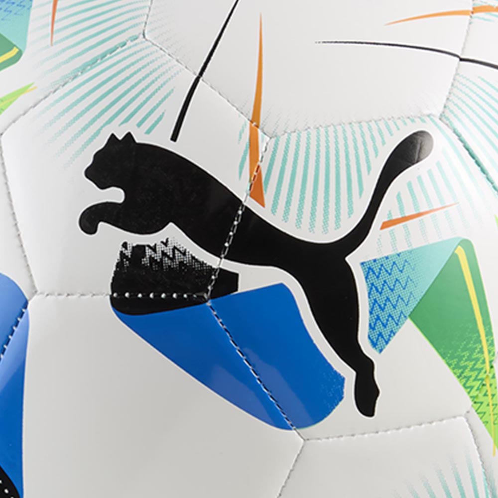PUMA Cumbre Conmebol Libertadores ลูกฟุตบอล