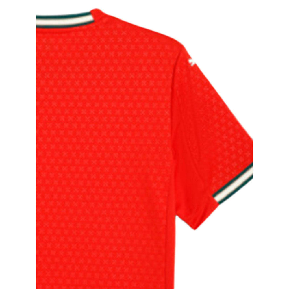 PUMA เสื้อแข่งผู้ชายทีมชาติโปรตุเกส ชุดเหย้า ฤดูกาล 2025