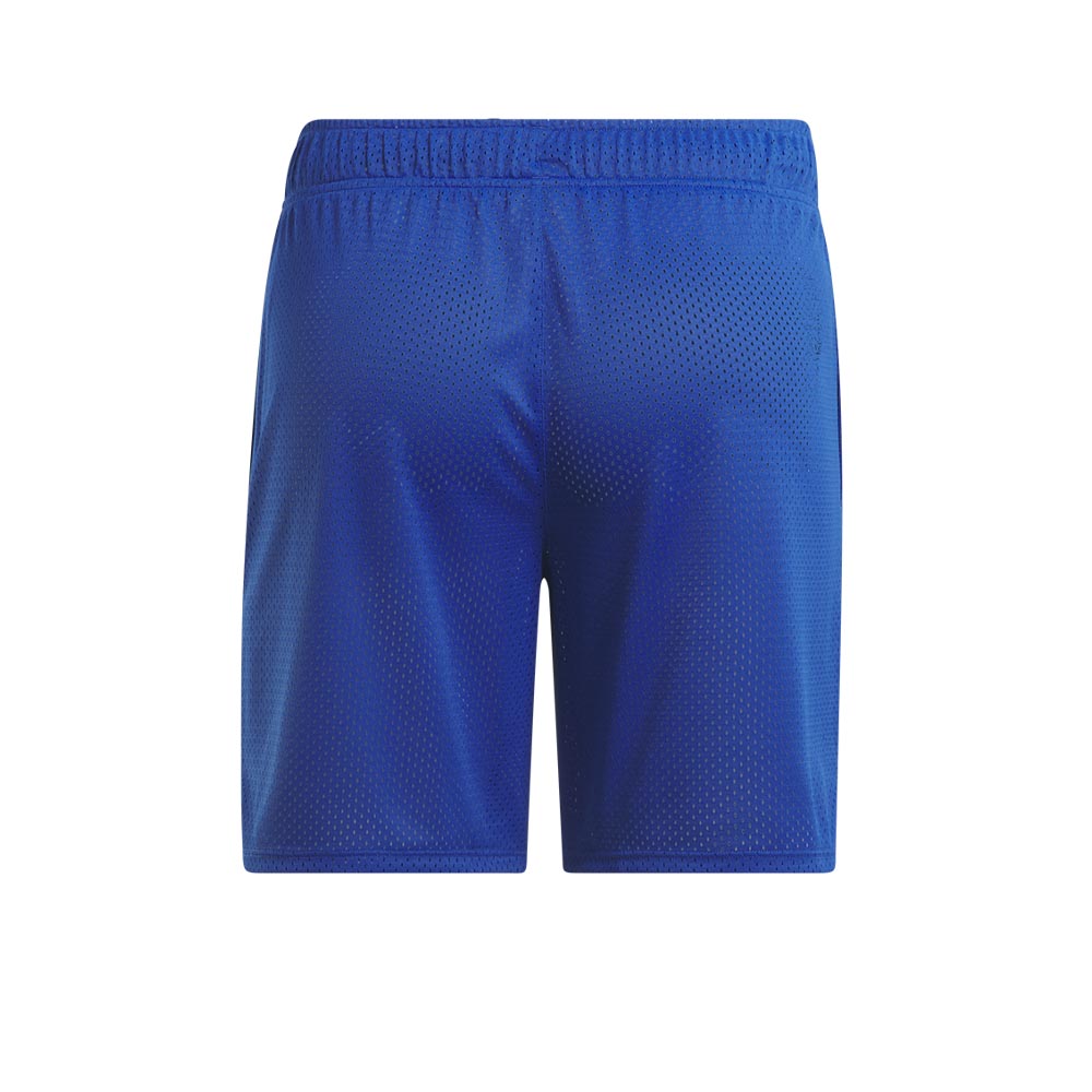 REEBOK Basketball Mesh กางเกงออกกำลังกายขาสั้นผู้ชาย