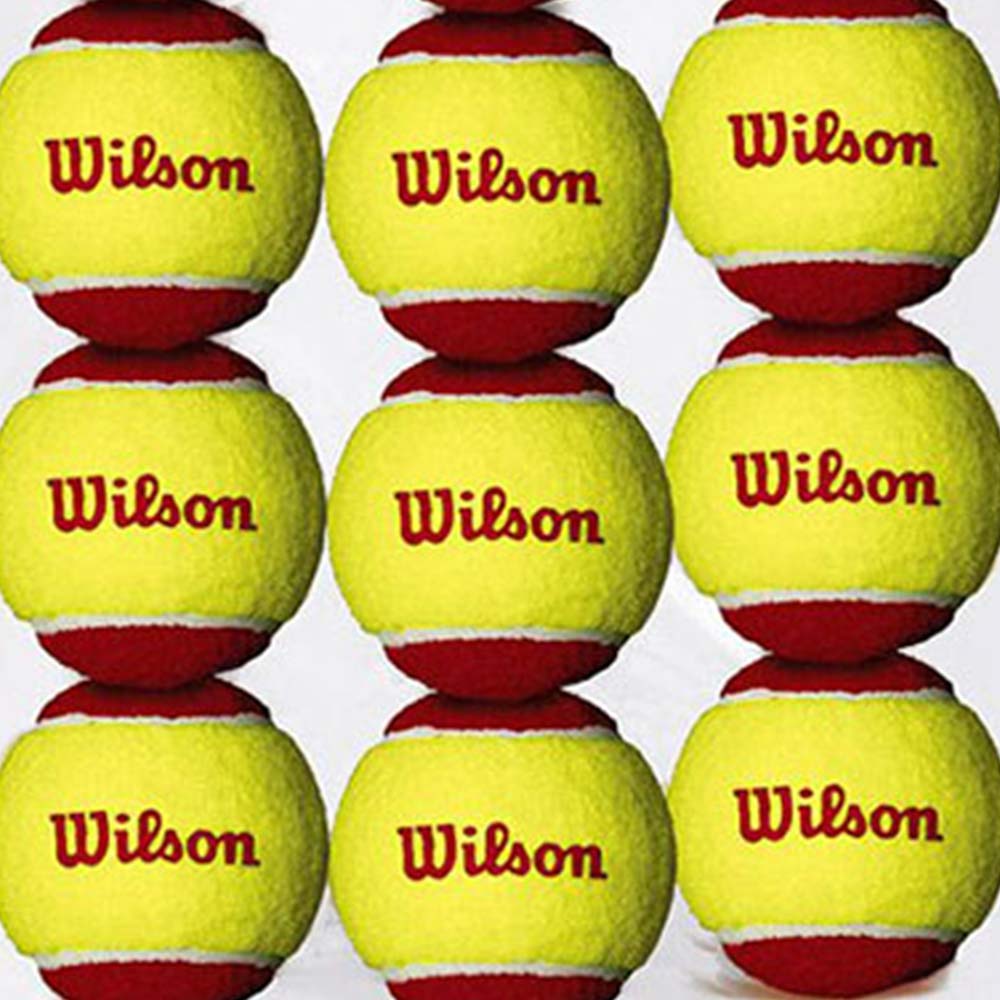 WILSON Starter Red Tennis Ball (12 Pack) - Supersports Thailand Supersports Thailand