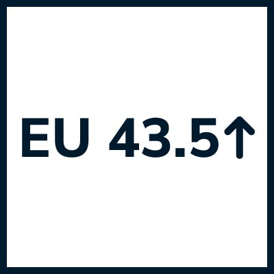 Women's Shoes - EU 43.5 , EU 44 , EU 44.5 , EU 45 , EU 48