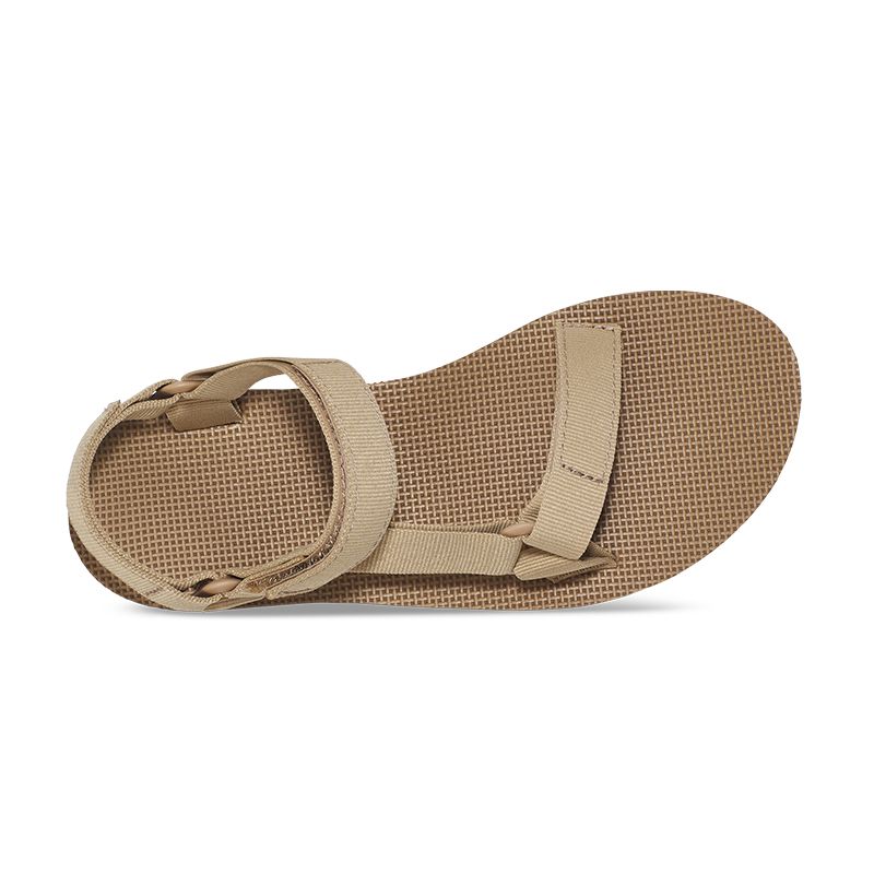 TEVA W MIDFORM UNIVERSAL รองเท้าแตะรัดส้น ผู้หญิง 1090969-INCN Brown - 1