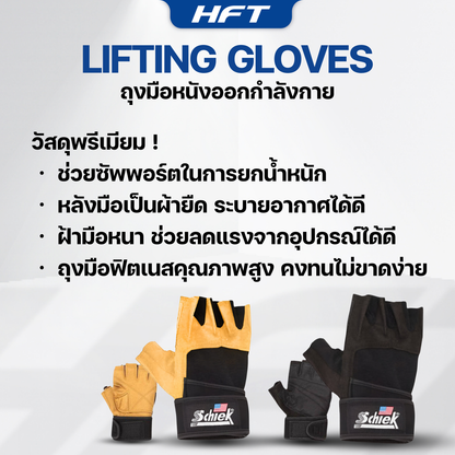 678de09d3aa13c4024ca215a_lifting-gloves-schiek-1_1769665583414.png