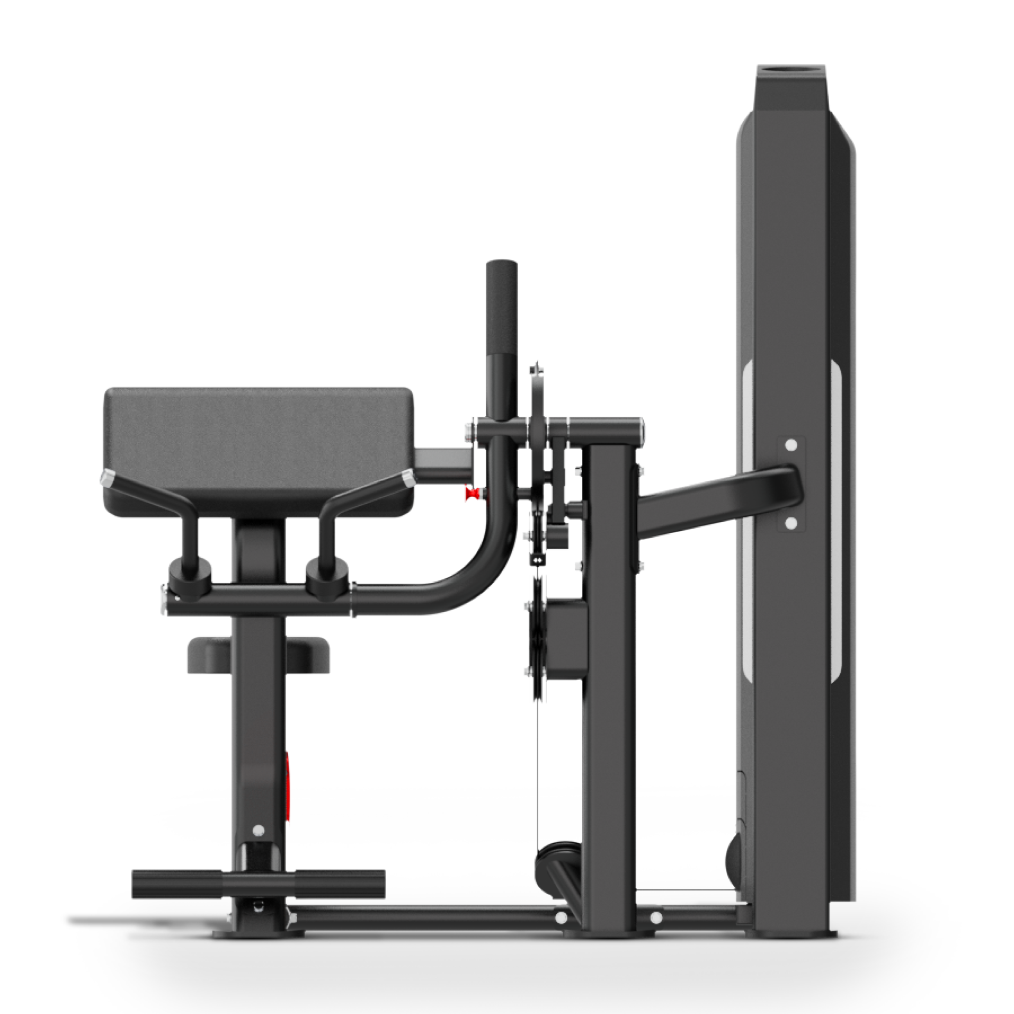 678de09d3aa13c4024ca215a_x5-2692-ivade-real-ma-44-biceps-triceps-3_1758713870306.png