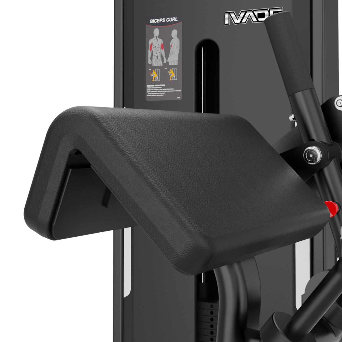 678de09d3aa13c4024ca215a_x5-2692-ivade-real-ma-44-biceps-triceps-8_1758713870308.png