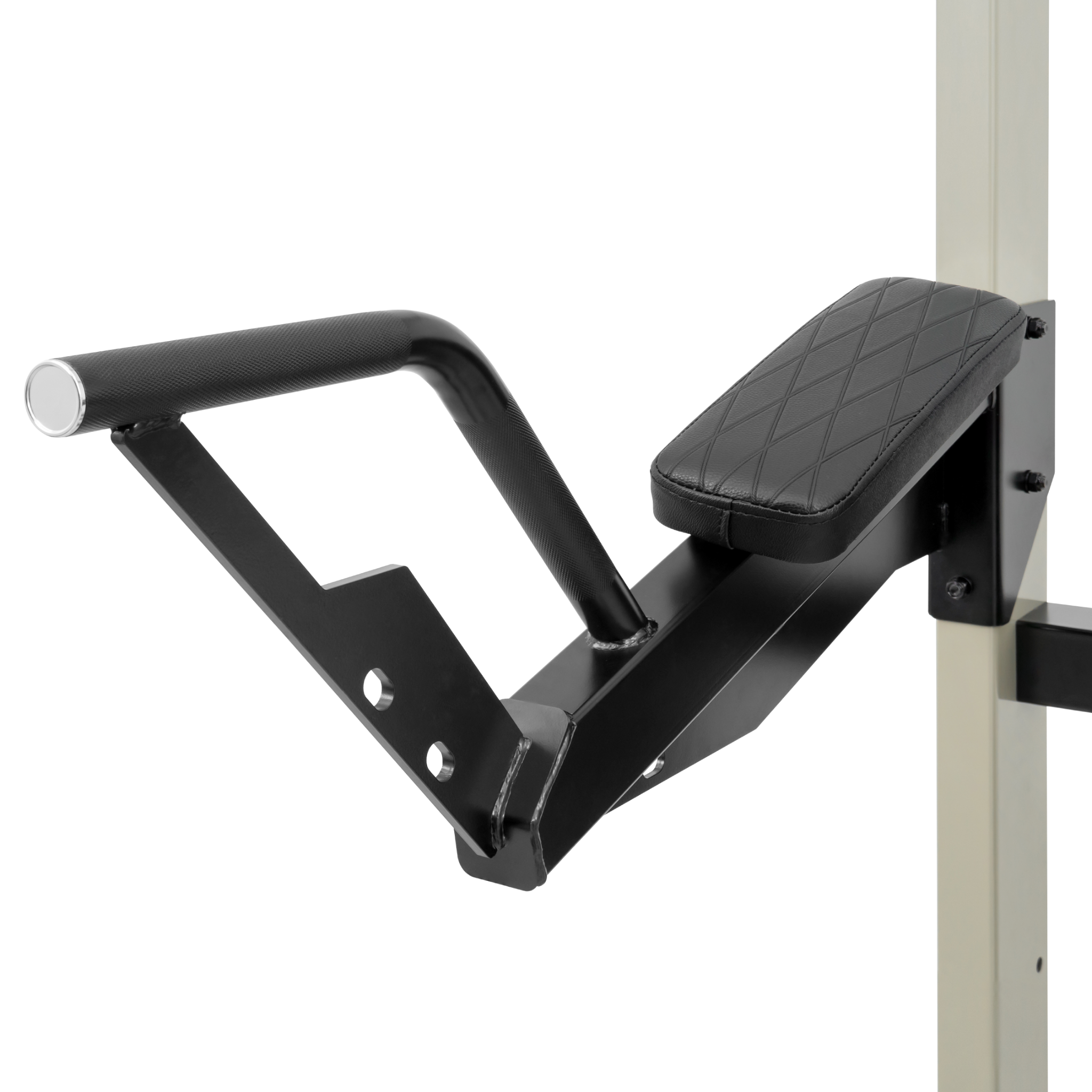 678de09d3aa13c4024ca215a_x5-2747-ivade-real-dc-pull-up-dip-leg-raise-iv-t50-10_1762772363831.png