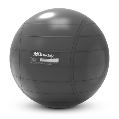 678de09d3aa13c4024ca215a_x5-2751-mdbuddy-real-dc-gym-ball-65cm_1763960684470.png