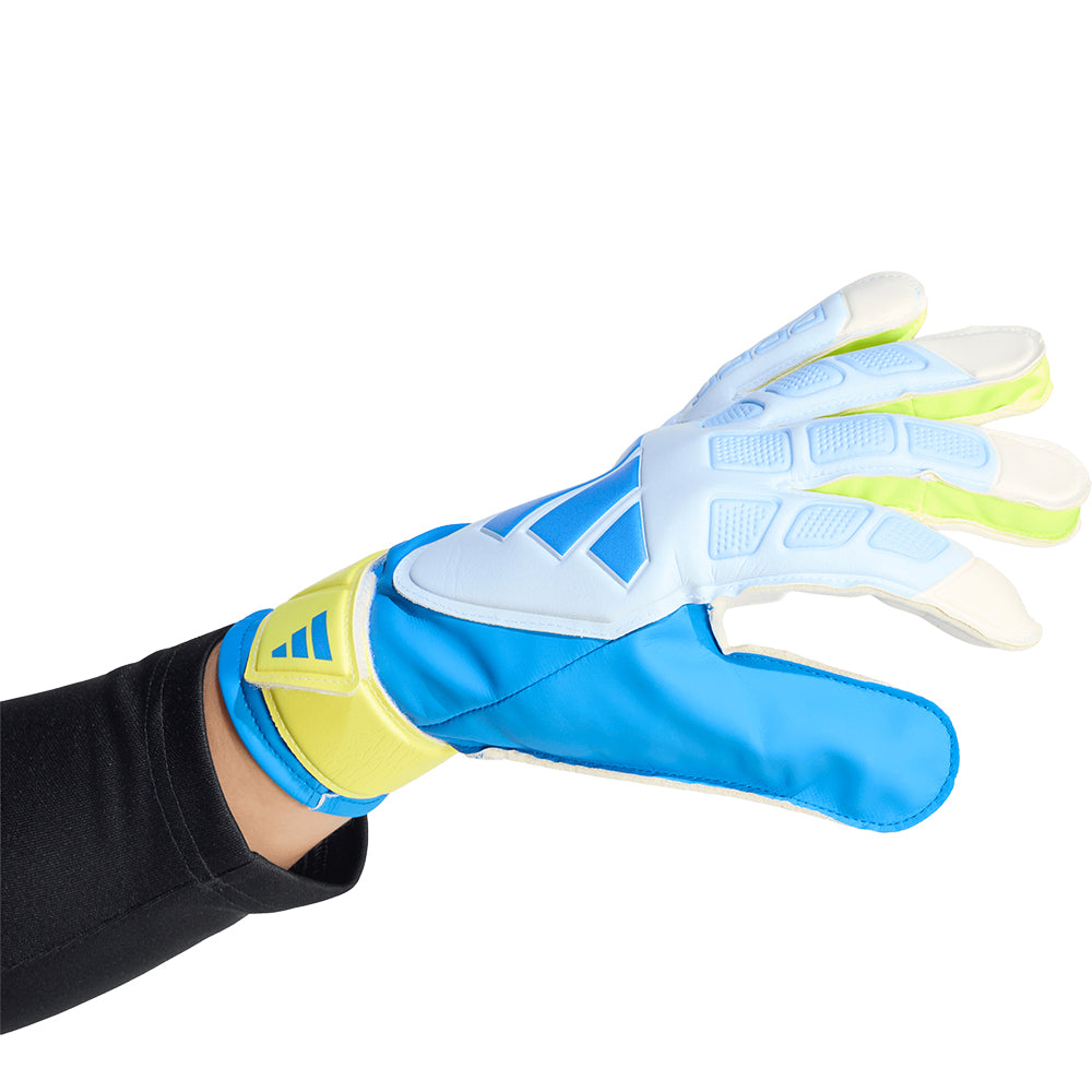 ADIDAS Predator Training Men's Goalkeeper Gloves - Supersports Thailand