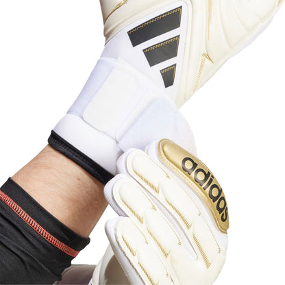 ADIDAS Copa Pro Men's Goalkeeper Gloves