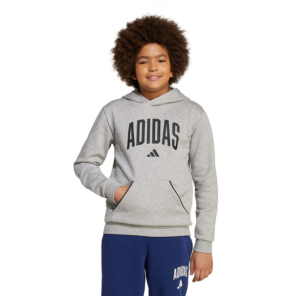 ADIDAS Seasonals Essentials Collegiate Typography Kids Hoodie - Supersports Thailand