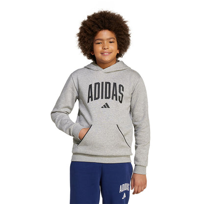 ADIDAS Seasonals Essentials Collegiate Typography Kids Hoodie - Supersports Thailand