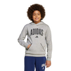 ADIDAS Seasonals Essentials Collegiate Typography Kids Hoodie - Supersports Thailand