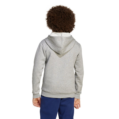 ADIDAS Seasonals Essentials Collegiate Typography Kids Hoodie - Supersports Thailand