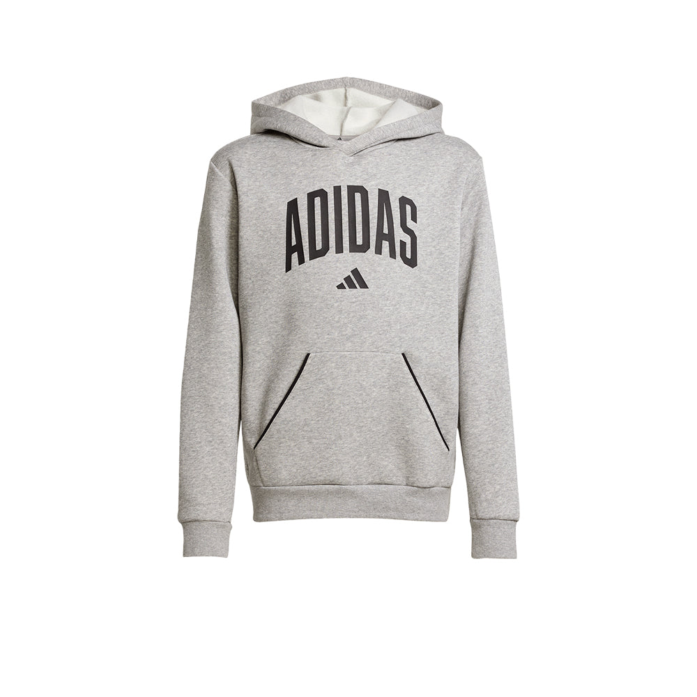 ADIDAS Seasonals Essentials Collegiate Typography Kids Hoodie - Supersports Thailand Supersports Thailand