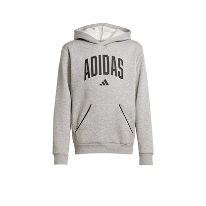 ADIDAS Seasonals Essentials Collegiate Typography Kids Hoodie - Supersports Thailand