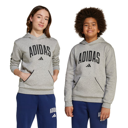 ADIDAS Seasonals Essentials Collegiate Typography Kids Hoodie - Supersports Thailand