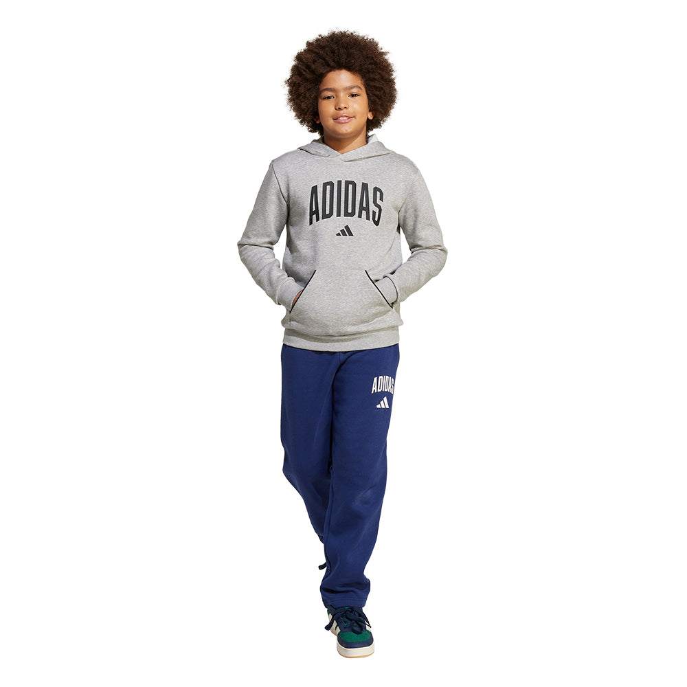 ADIDAS Seasonals Essentials Collegiate Typography Kids Hoodie - Supersports Thailand