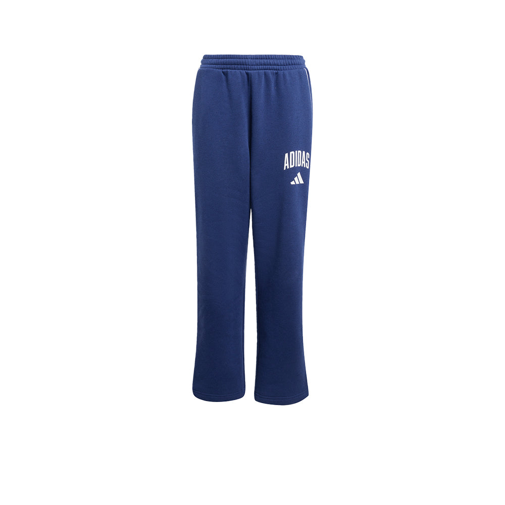 ADIDAS Seasonals Essentials Collegiate Typography Kids Lifestyle Pants - Supersports Thailand