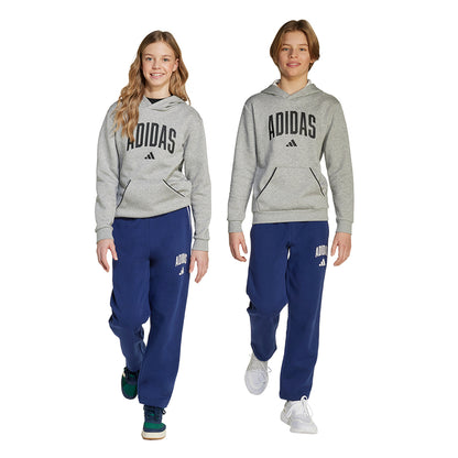 ADIDAS Seasonals Essentials Collegiate Typography Kids Lifestyle Pants - Supersports Thailand
