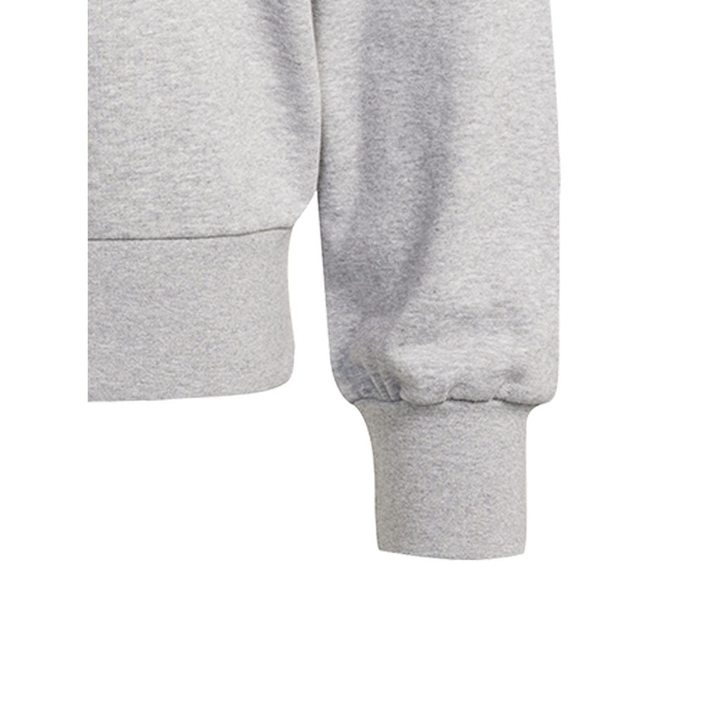 ADIDAS Essentials Big Logo French Terry Men's Sweatshirt - Supersports Thailand