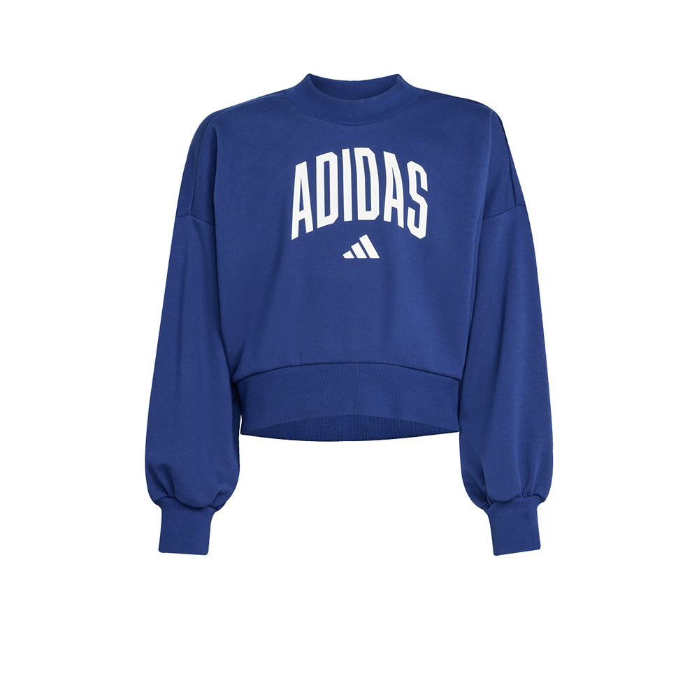 ADIDAS Seasonals Essentials Collegiate Typography Kids Sweatshirt