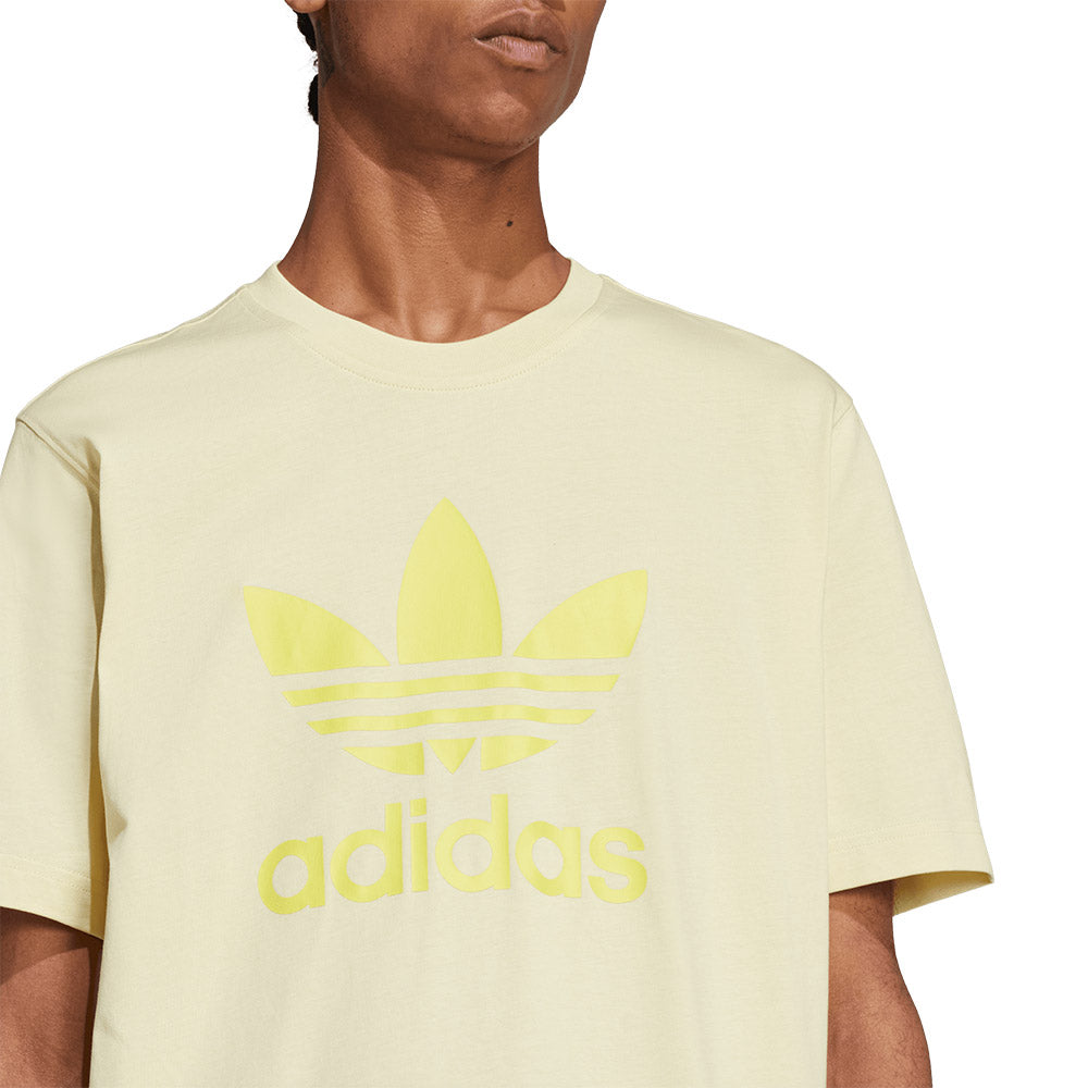 ADIDAS ORIGINALS Adicolor Trefoil เสื้อยืดผู้ชาย