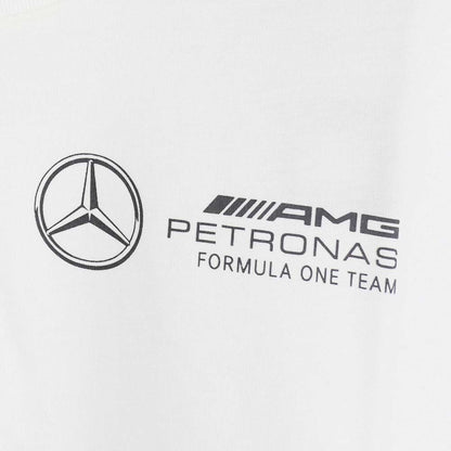 ADIDAS Mercedes - AMG Petronas Formula One Team Graphic Men's T-Shirt