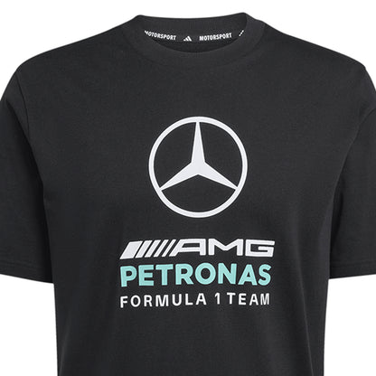 ADIDAS Mercedes - AMG Petronas Formula 1 Team DNA Graphic Men's T-Shirt - Supersports Thailand