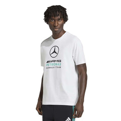 ADIDAS Mercedes - AMG Petronas Formula 1 Team DNA Graphic Men's T-Shirt - Supersports Thailand
