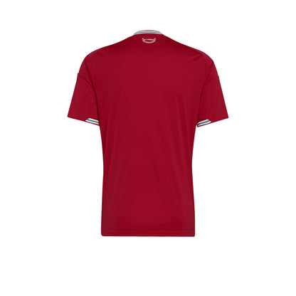 ADIDAS Men's Wales Home Replica 2026 Jersey - Supersports Thailand