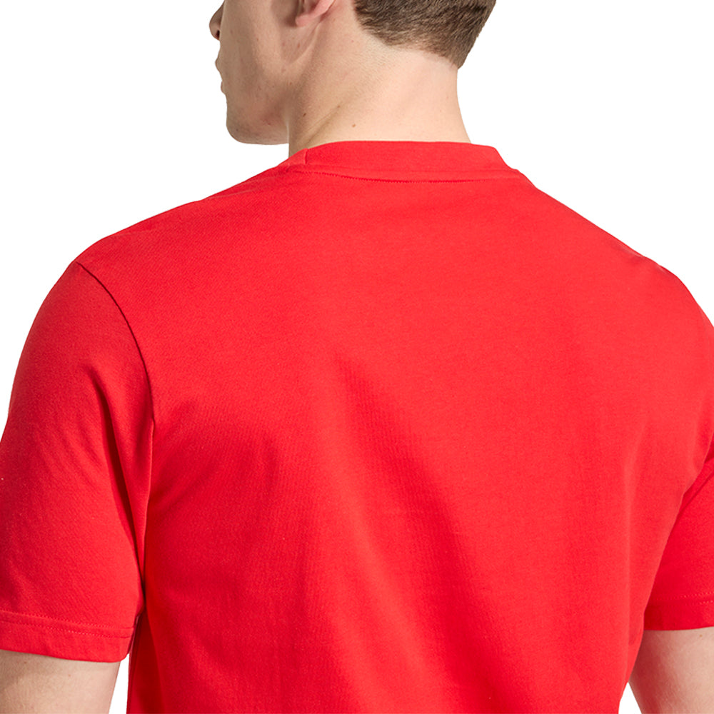 ADIDAS Spain DNA Graphic Men's Football T-Shirt - Supersports Thailand