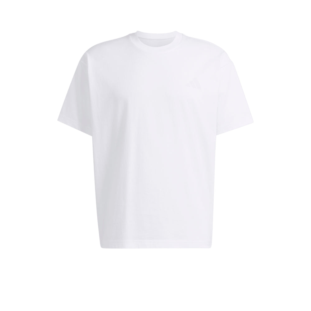 ADIDAS Terrex Wanderer Graphic Men's T-Shirt - Supersports Thailand Supersports Thailand